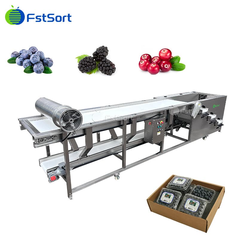 images/1760413230357blueberry sorter.jpg